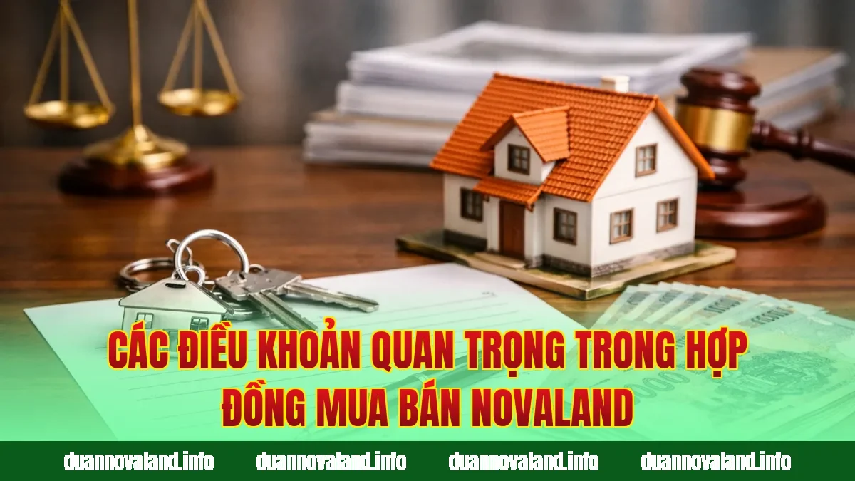 Các điều khoản quan trọng trong hợp đồng mua bán Novaland
